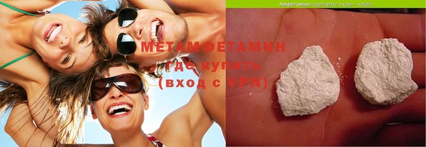шишки Белокуриха