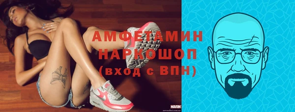 шишки Белокуриха