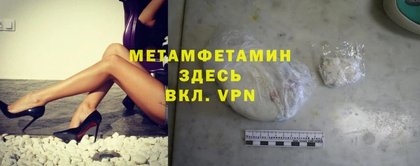 шишки Белокуриха