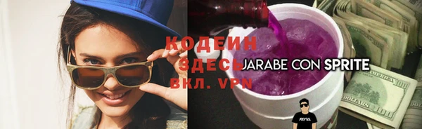 шишки Белокуриха