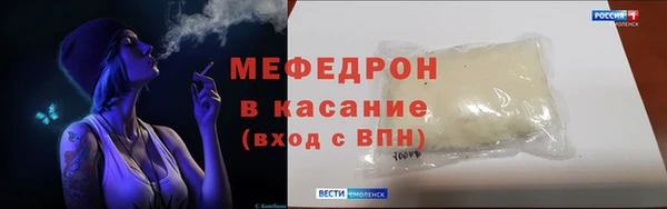 шишки Белокуриха