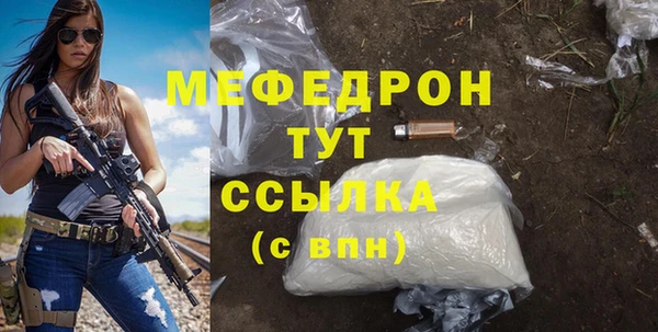 шишки Белокуриха