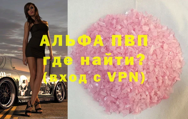 шишки Белокуриха